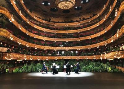 کنسرت گیاهان ؛ خانه اپرای بارسلونا با یک کنسرت برای 2292 گیاه افتتاح شد