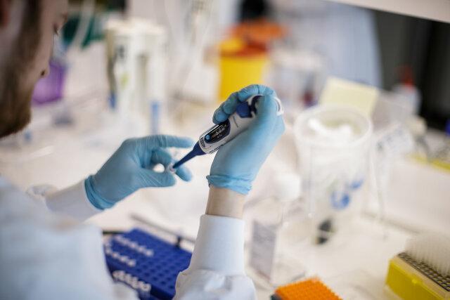 نتایج امیدوارکننده واکسن کرونای استرالیایی ها در فاز حیوانی و بالینی