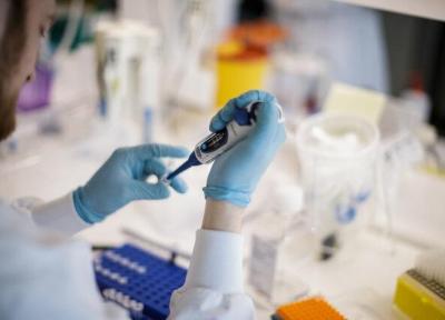 نتایج امیدوارکننده واکسن کرونای استرالیایی ها در فاز حیوانی و بالینی
