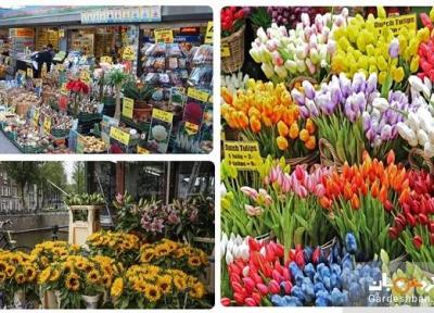 بازار گل زیبا و جذاب بلومن آمستردام