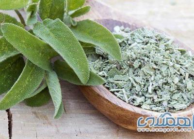 برای افزایش انرژی و تمرکز در پاییز از این گیاهان مصرف کنید