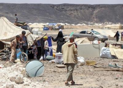 تروریست های القاعده، آخرین امید عربستان برای جنگ یمن