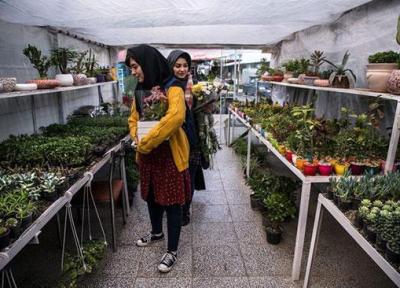آشنایی با بهترین باغ گل های تهران کدامند؟